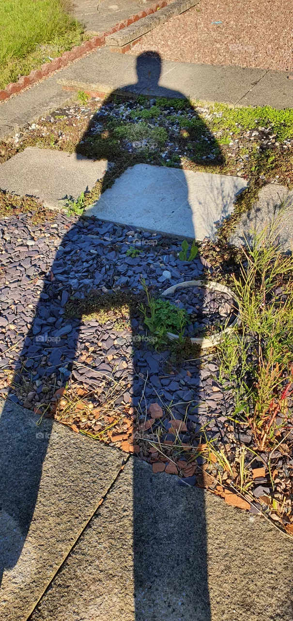 shadow