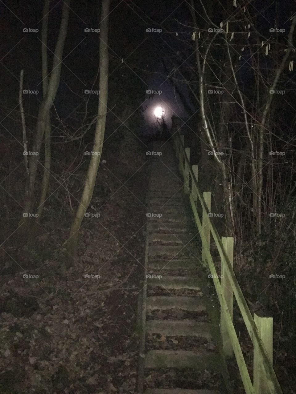 Stairway to the moon 