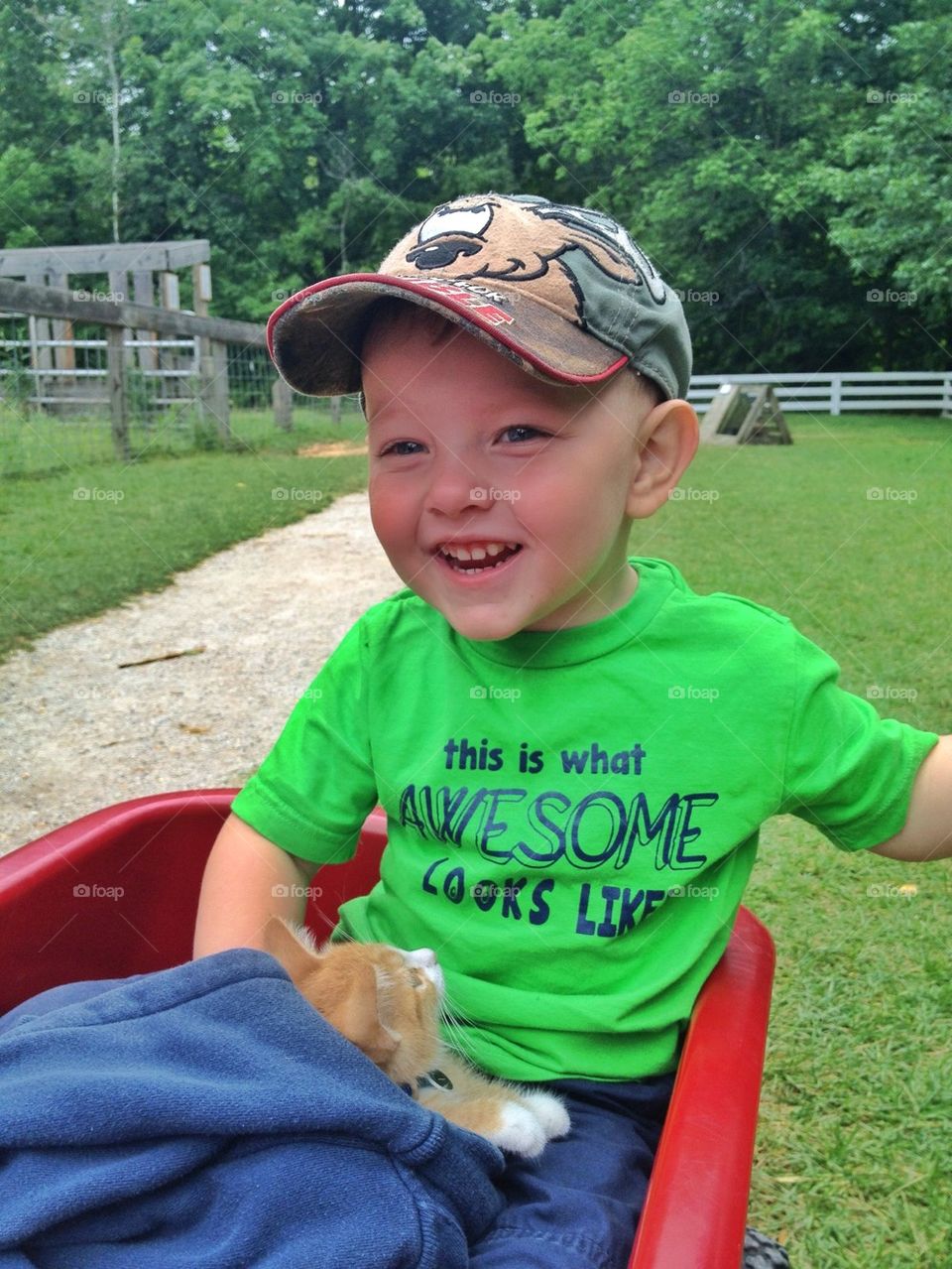 Kittens and wagon rides