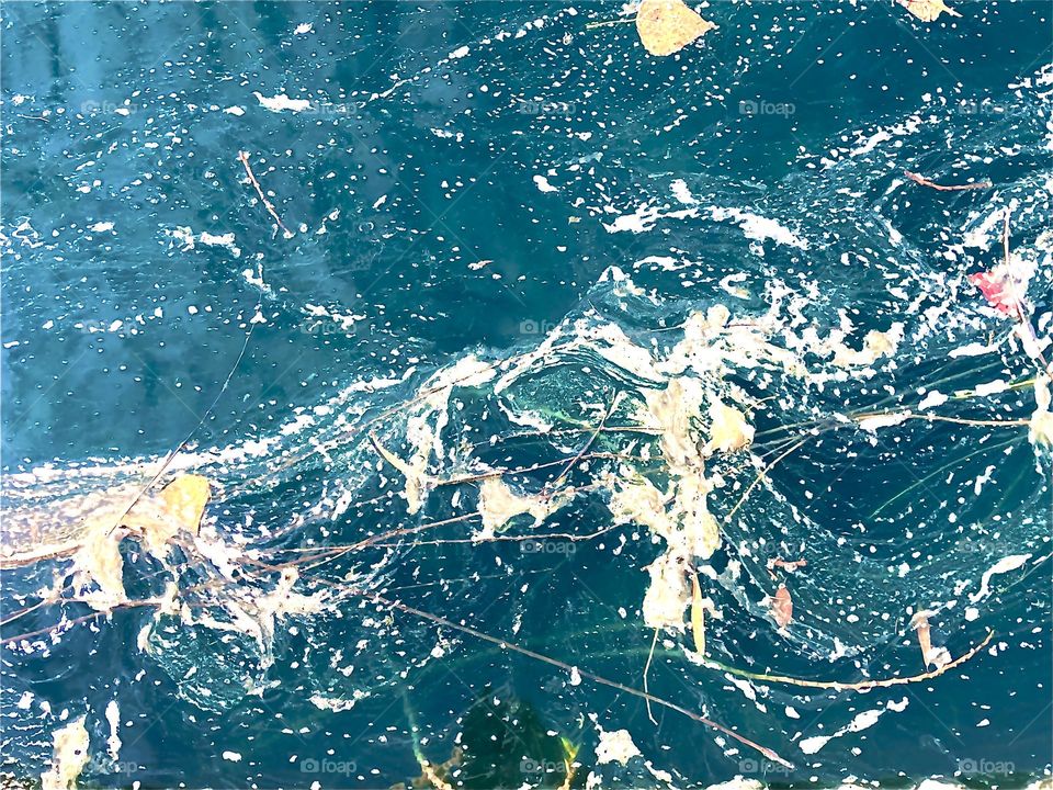 Algae swirls in the pond