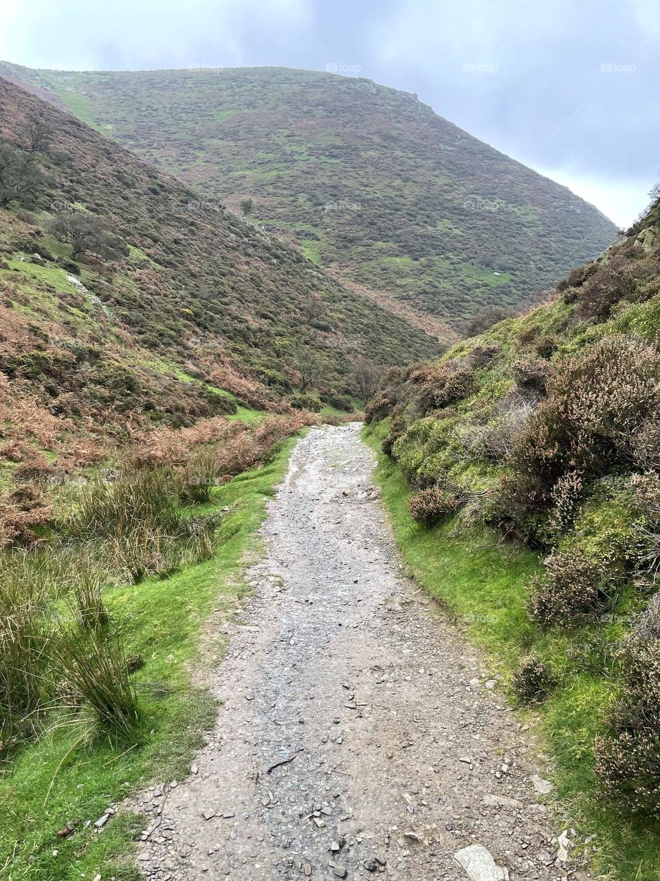 The path I followed on my circular walk in Shropshire 