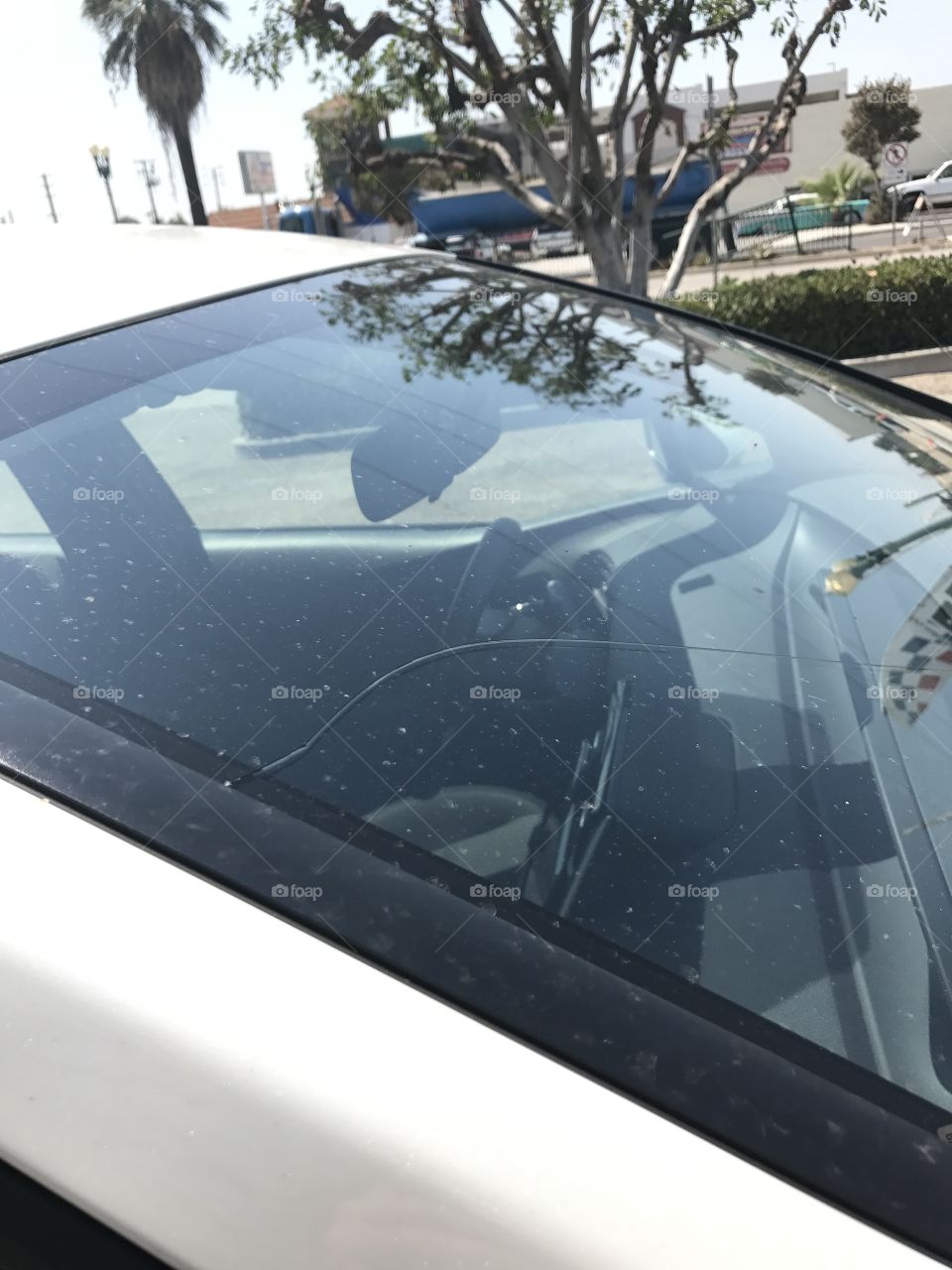 Cracked windshield