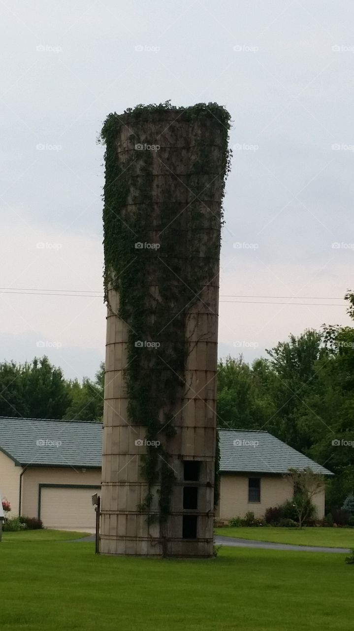 old silo. Eight Mile Road, South Lyon,  Michigan