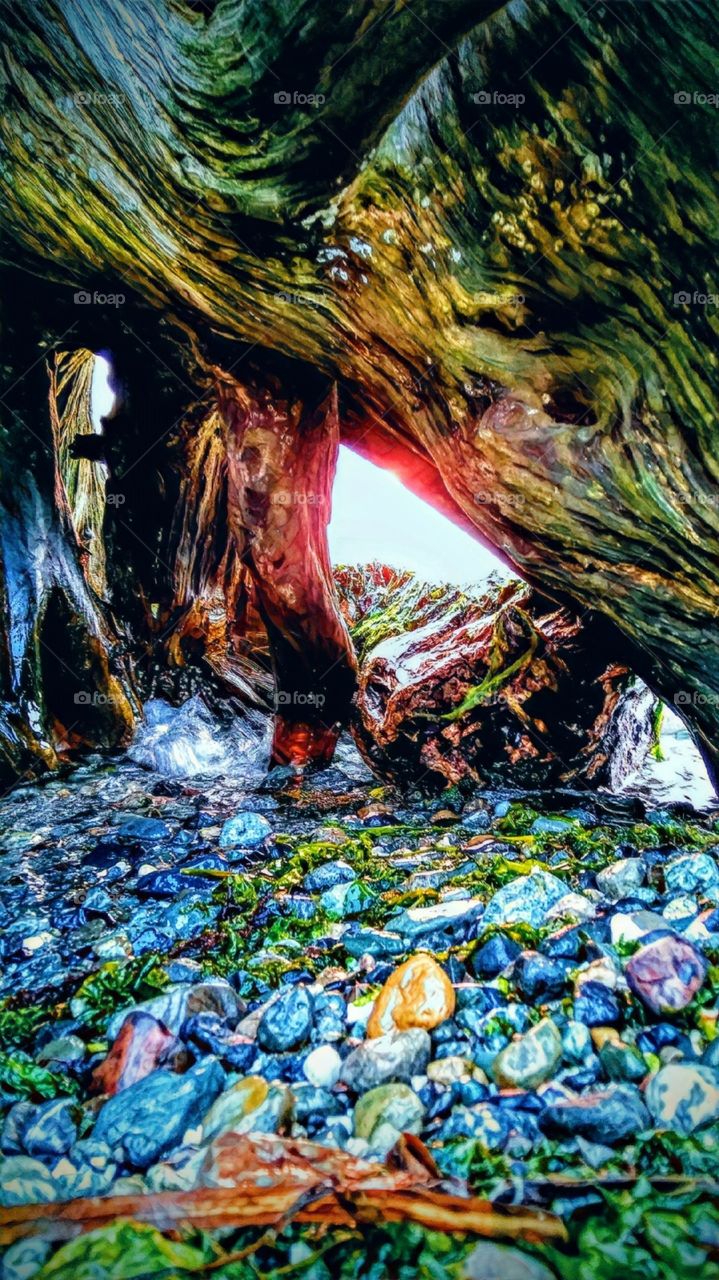 Sunset through driftwood at Everett Wa