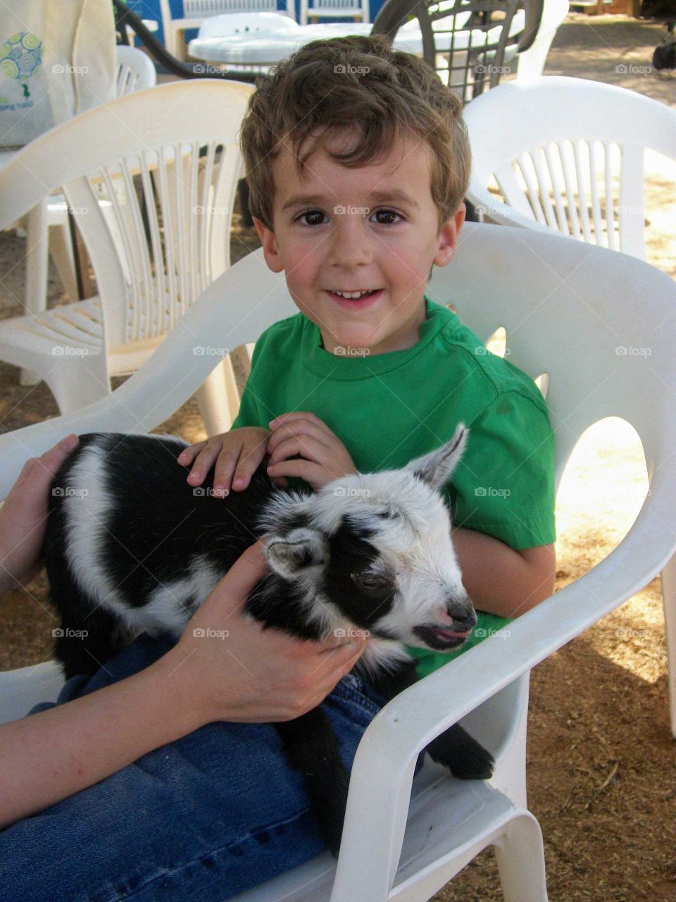 Holding a goat