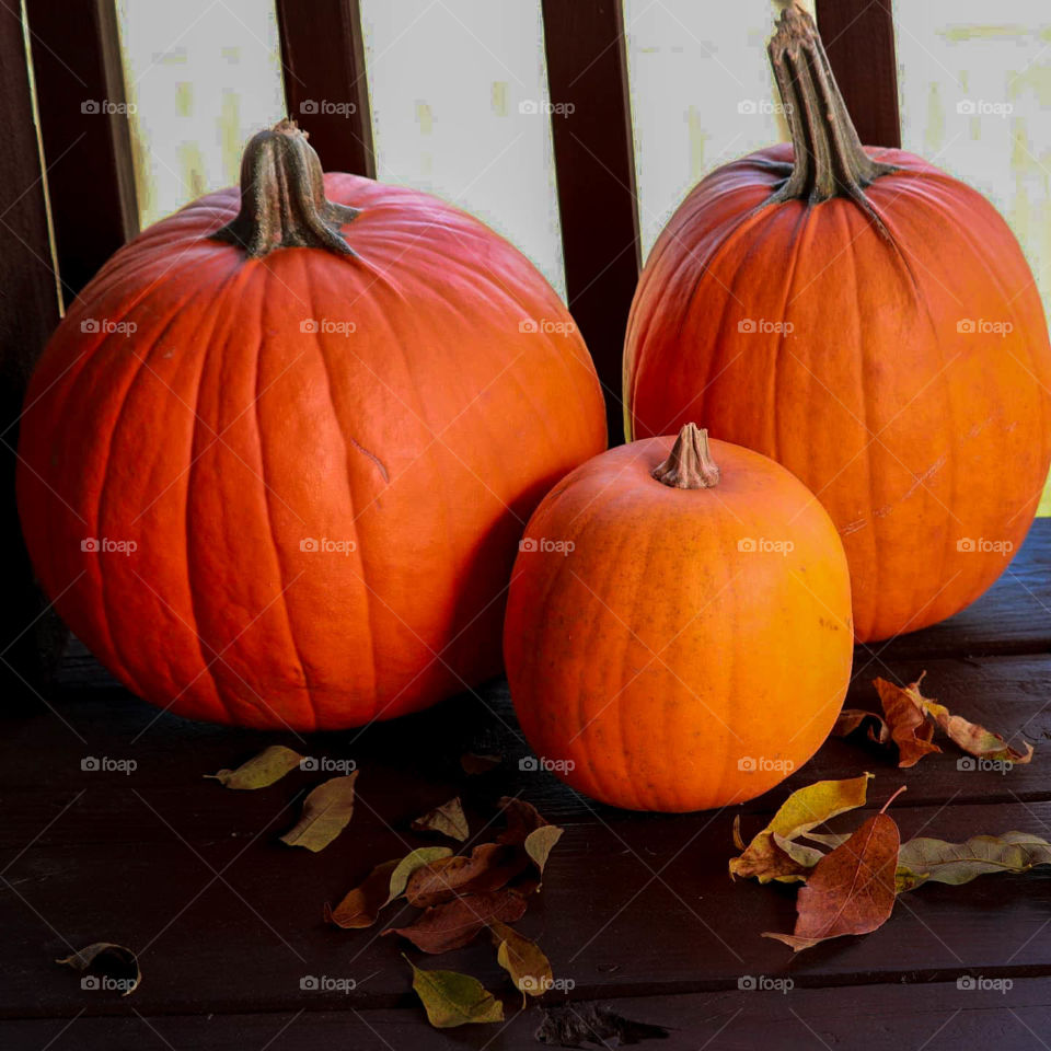 pumpkins on the deck