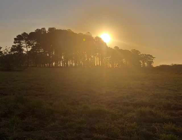 ☀️