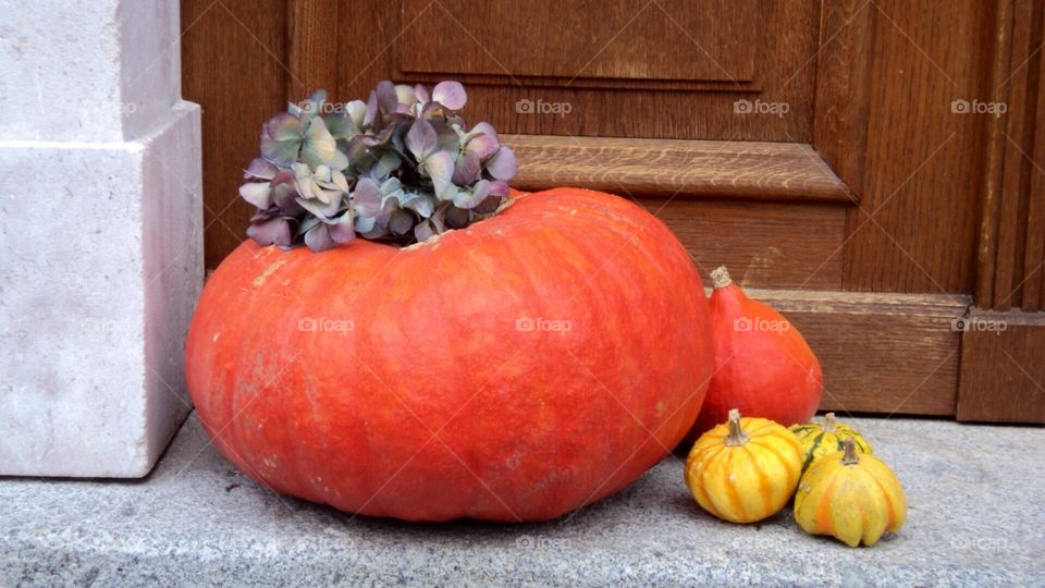 Halloween Pumpkin