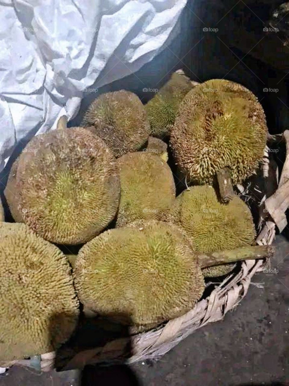 A beautiful and attractive view in the garden.