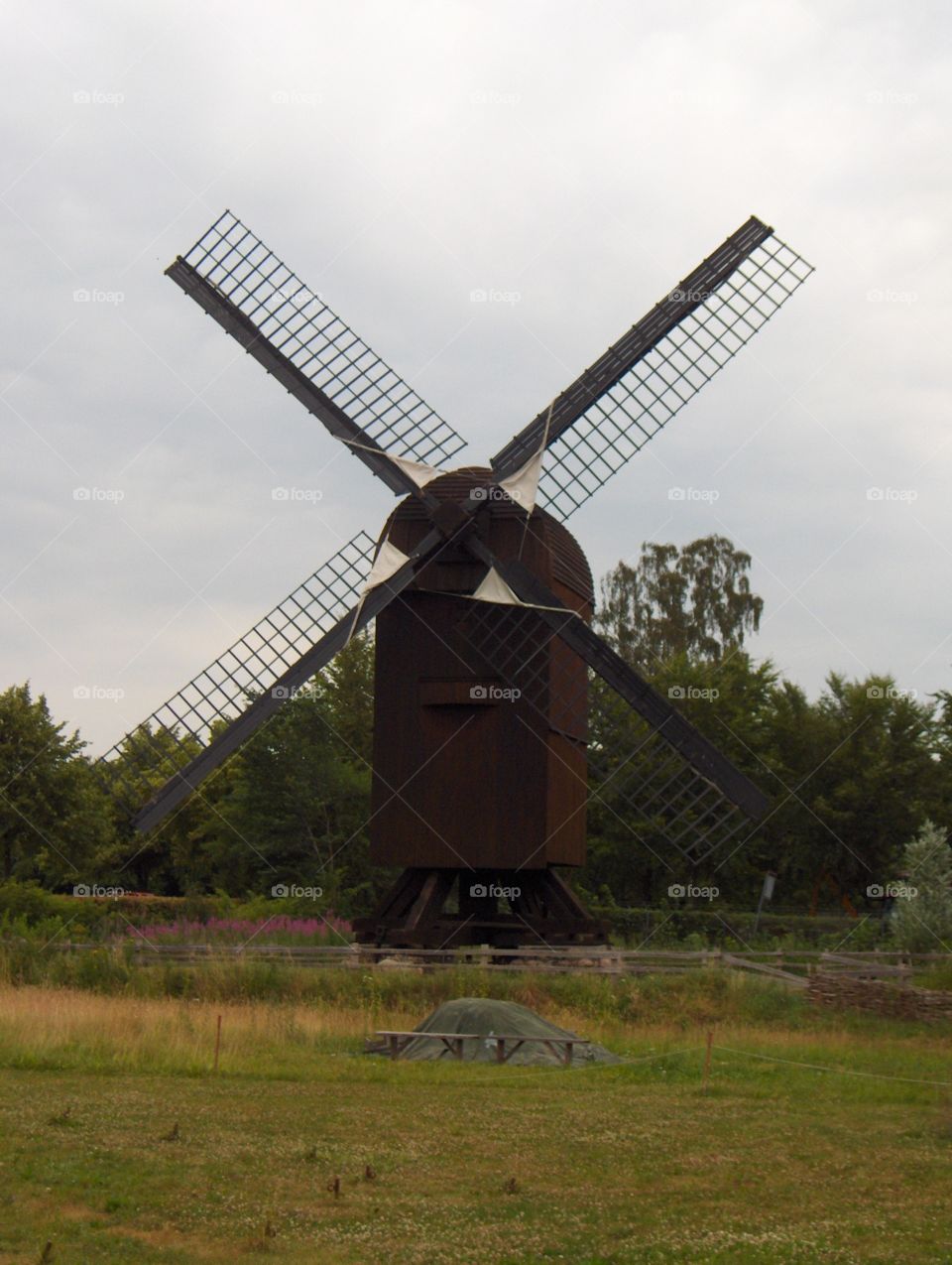 Windmill 