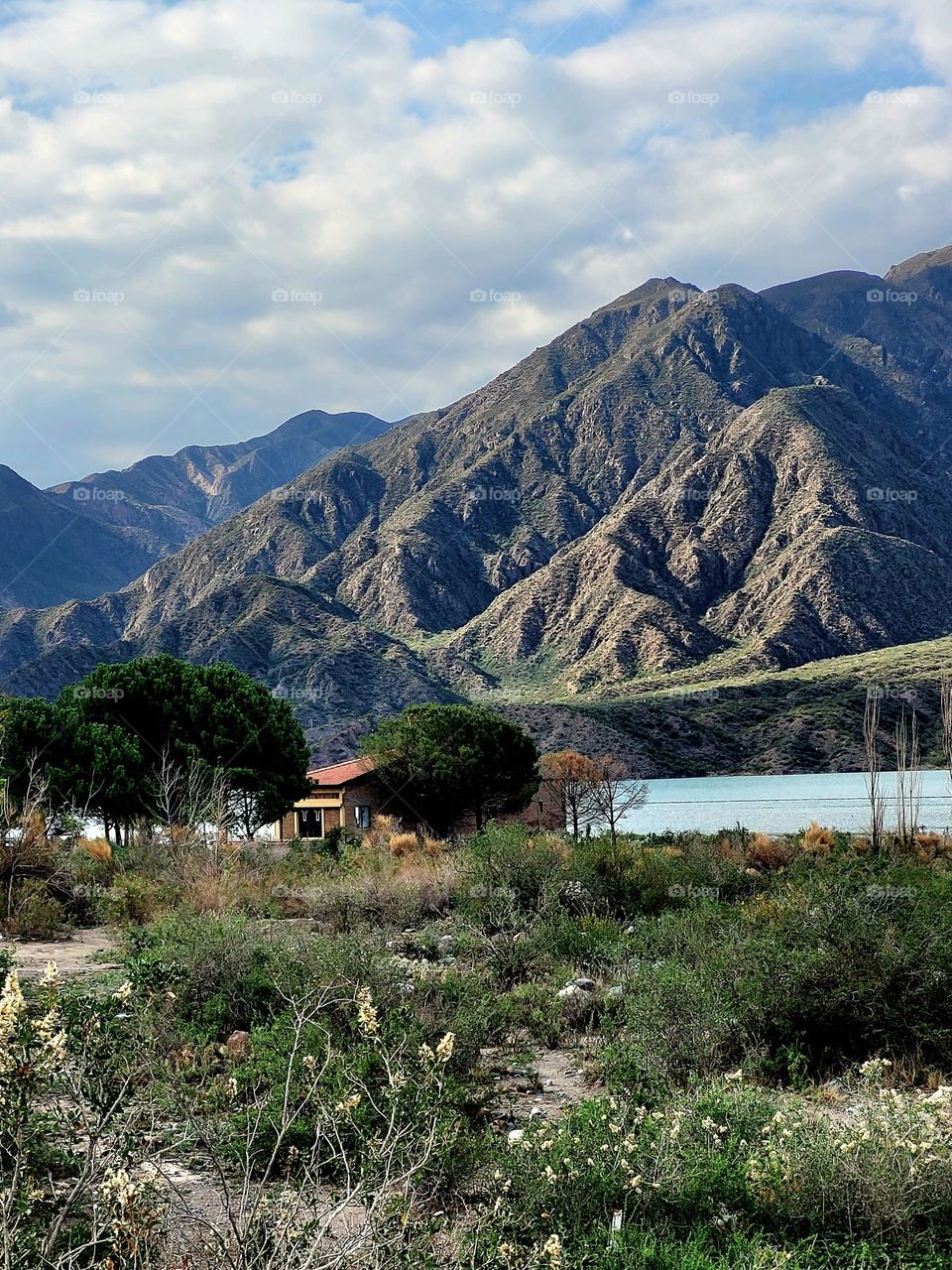 paisaje de Mendoza