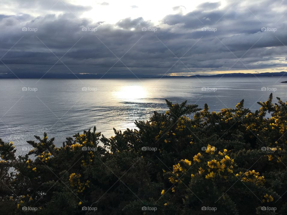 Scenic view of beach against sky