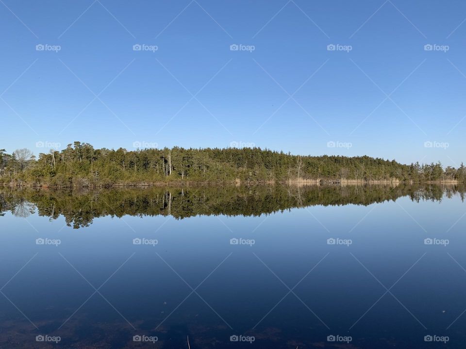 Beautiful reflective lake with trees in the back.
