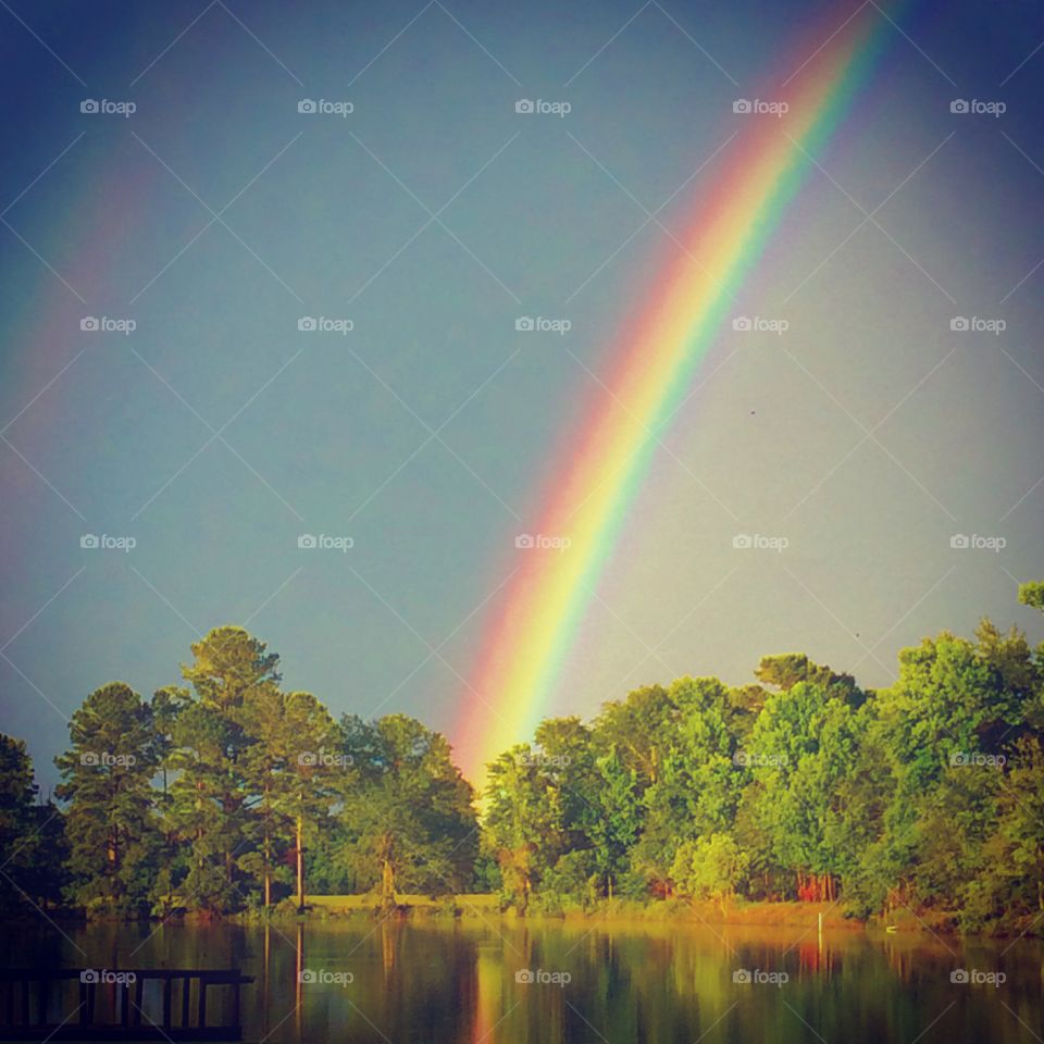 Rainbow 