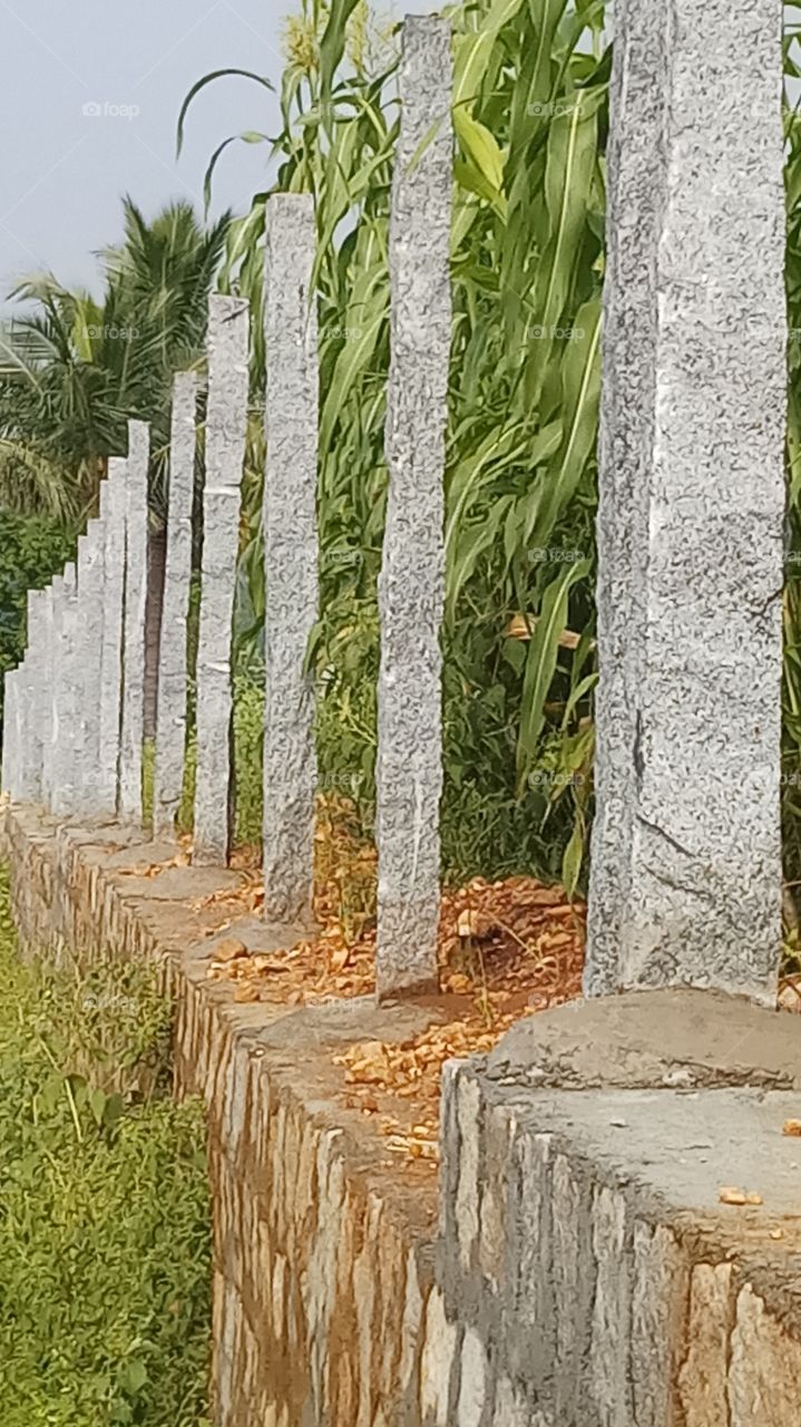 This is very nice click fairweather