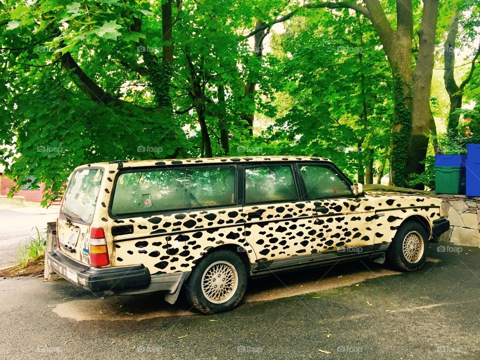 Leopard Wagon 