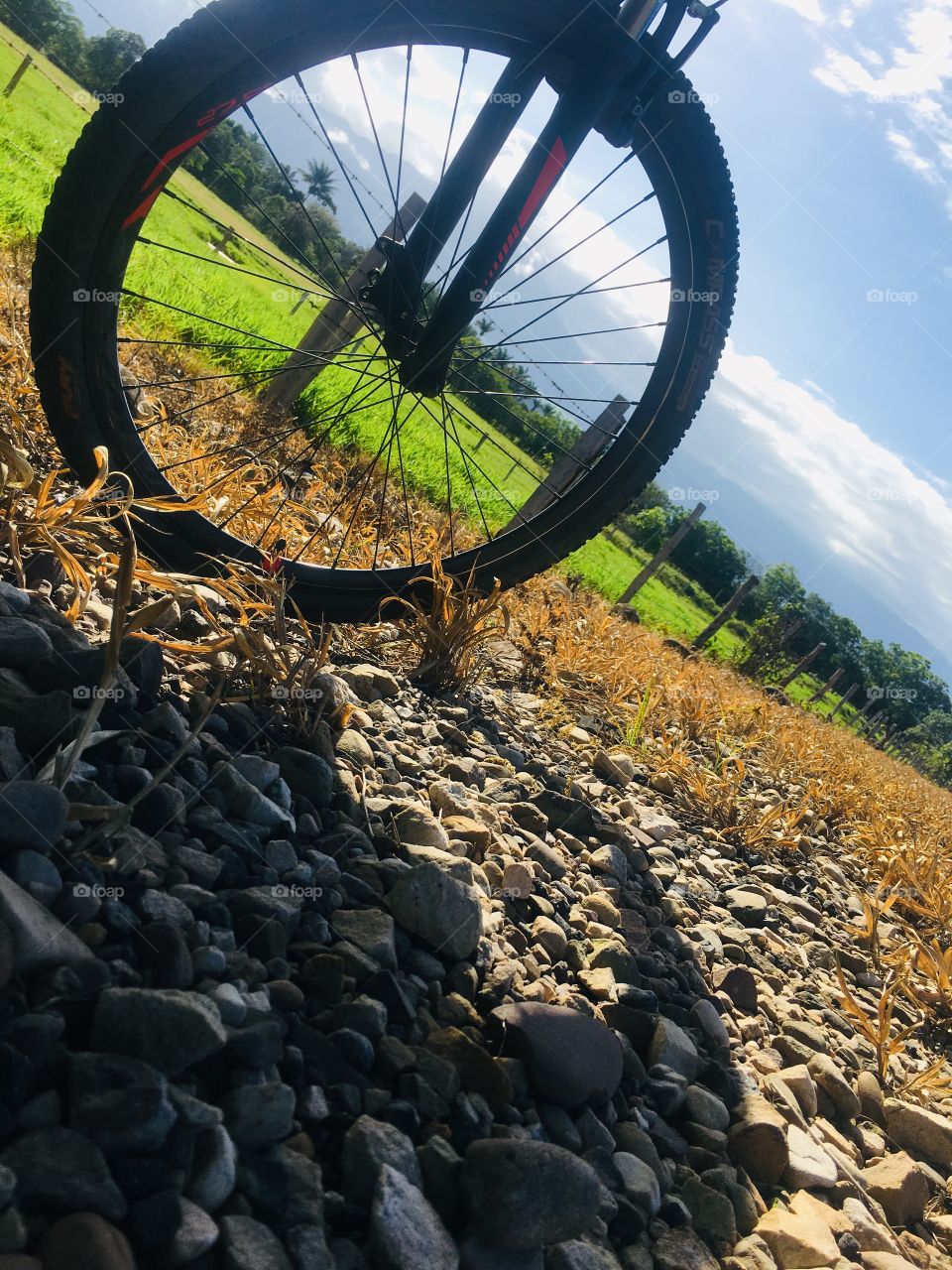 En esta fotografía a color, se ve la parte delantera de una bicicleta y un paisaje en un día soleado en un lugar de clima tropical.