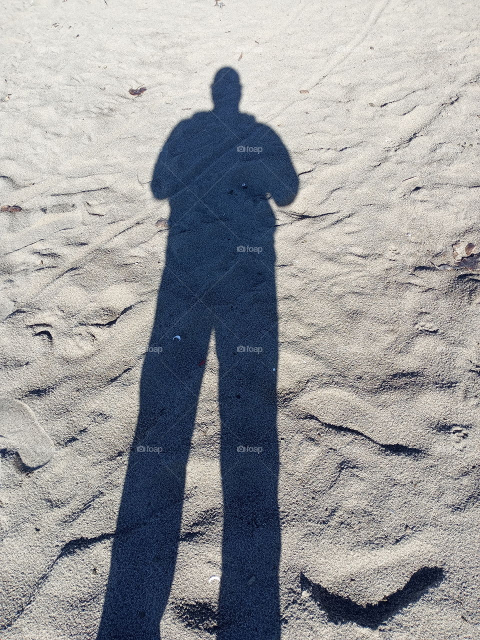 shadow in the sand