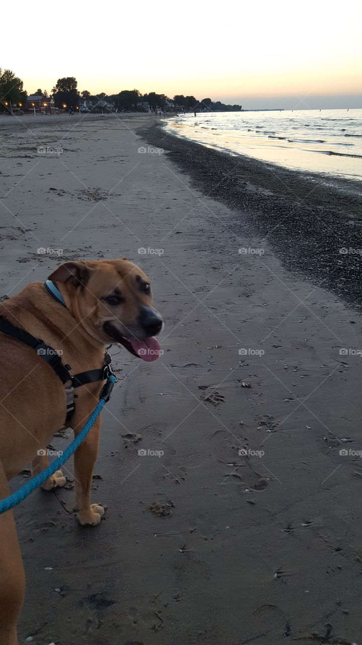 Ladies, He loves long walks on the beach.