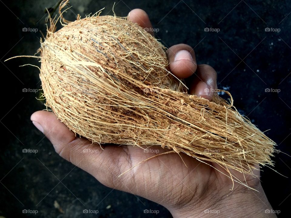 Close-up of a hand holding coconut