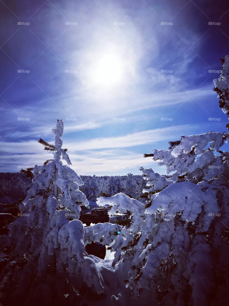 wi