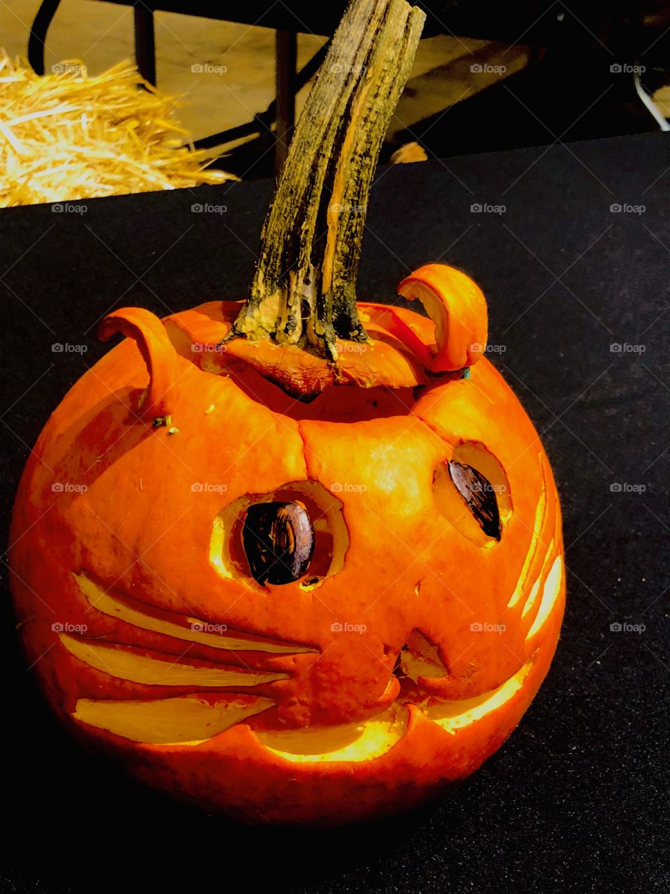 Cat Pumkin