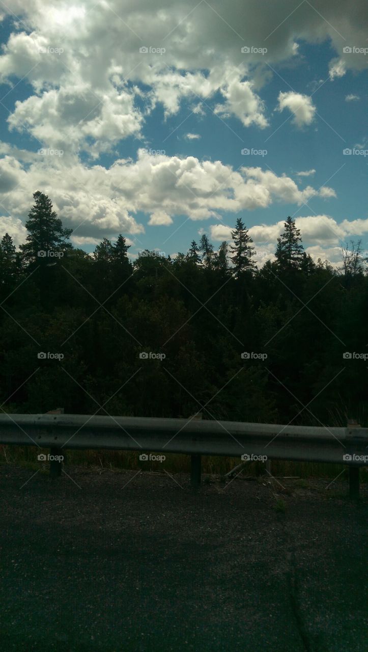 Landscape, Tree, No Person, Light, Road