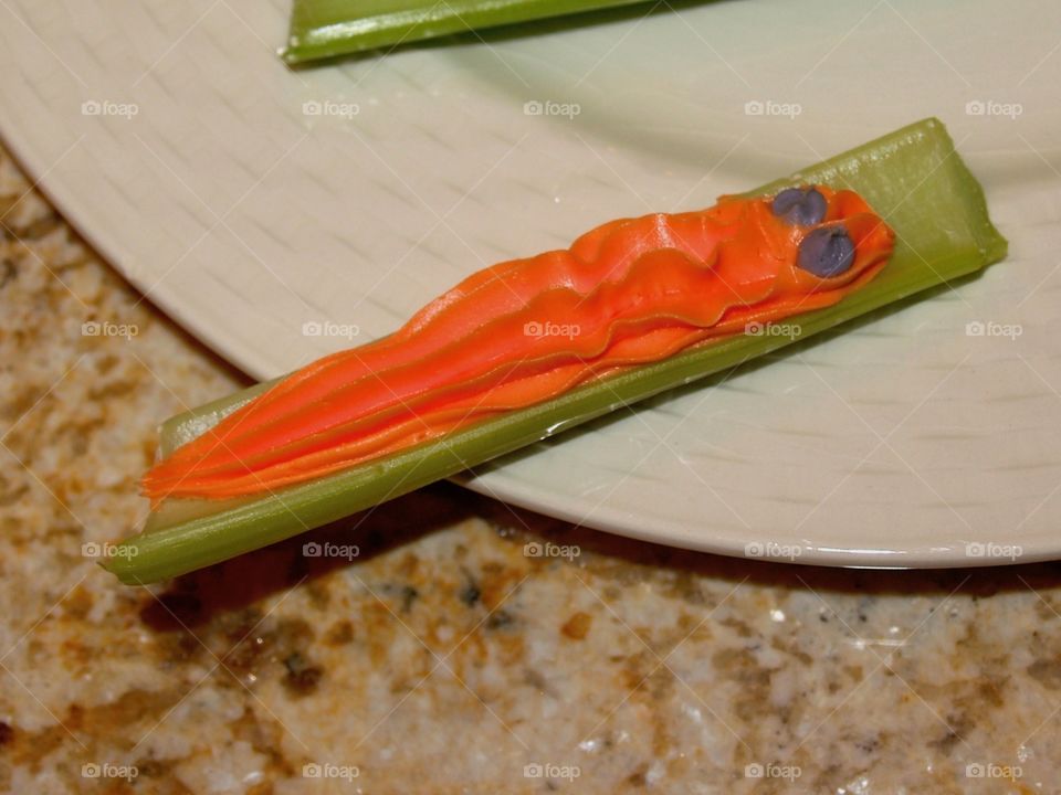 Orange Worm on Celery
