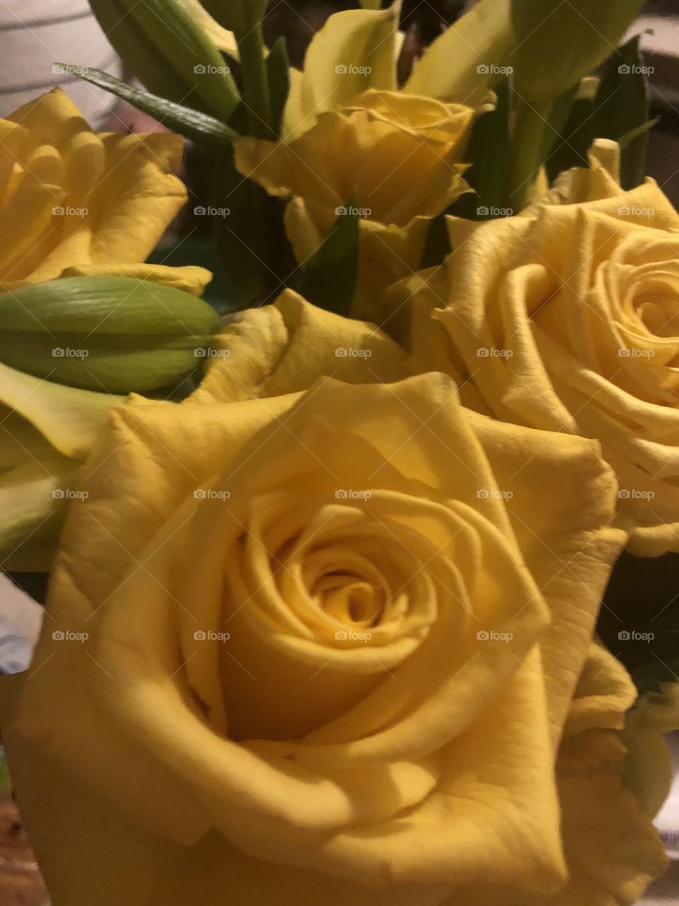 Closeup of gorgeous yellow roses. 