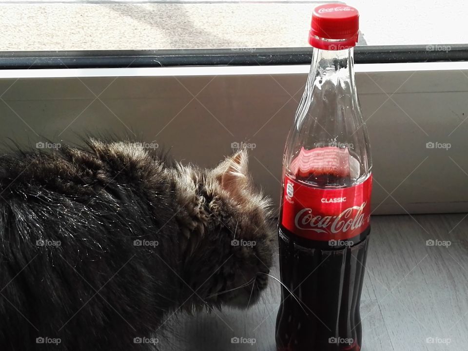 smell of coca-cola