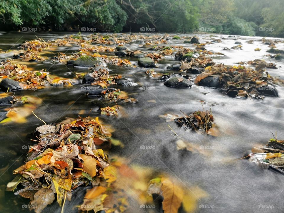 Autumn leaves and rocks in a stream with slow shutter speed