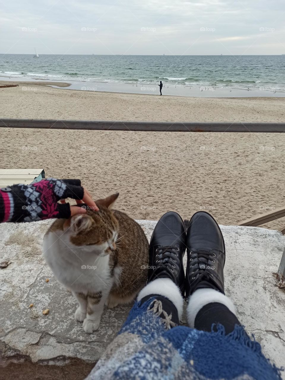 Fall Wins! (Bonus Exclusive Mission)