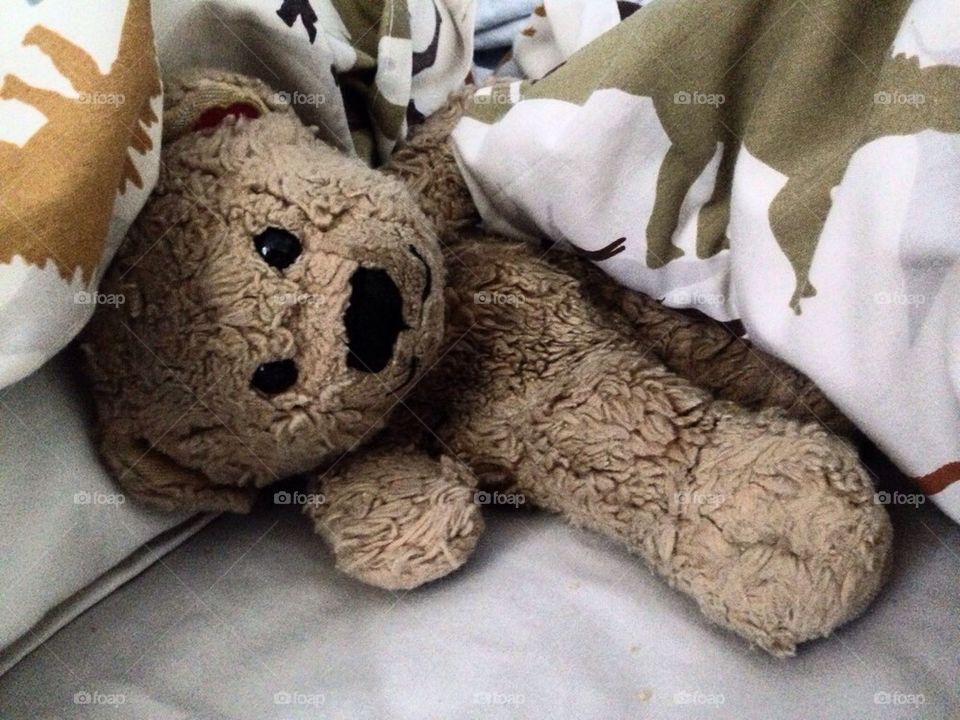 Cute Teddy Bear in Bed