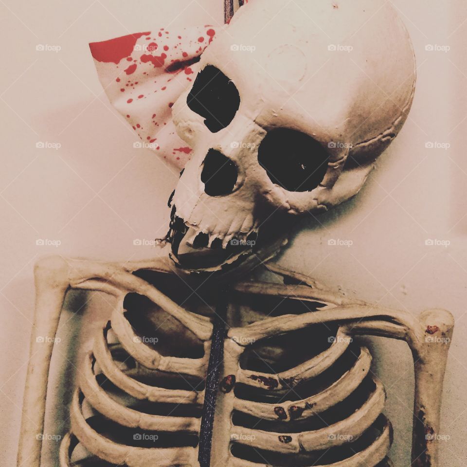 Skull, Frame, Halloween, Bone, Horror