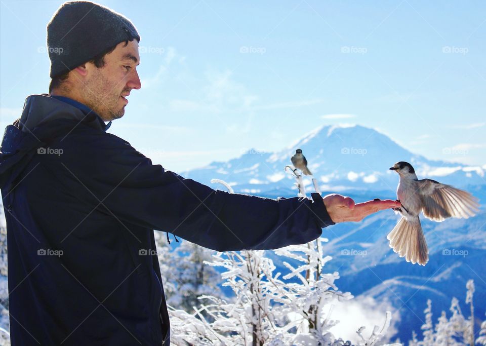 PNW grey jays on a blue bird day!