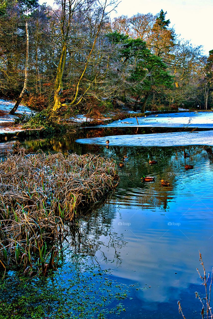 Keston in the Freeze