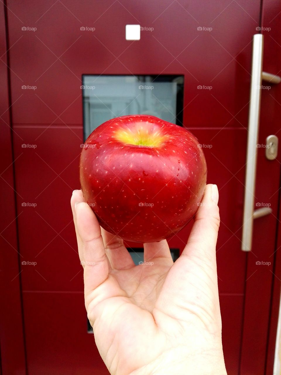 fresh red tasty apple on red door background