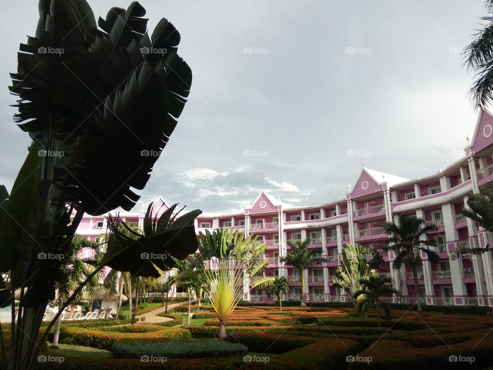 Travel, No Person, Architecture, Sky, Palm