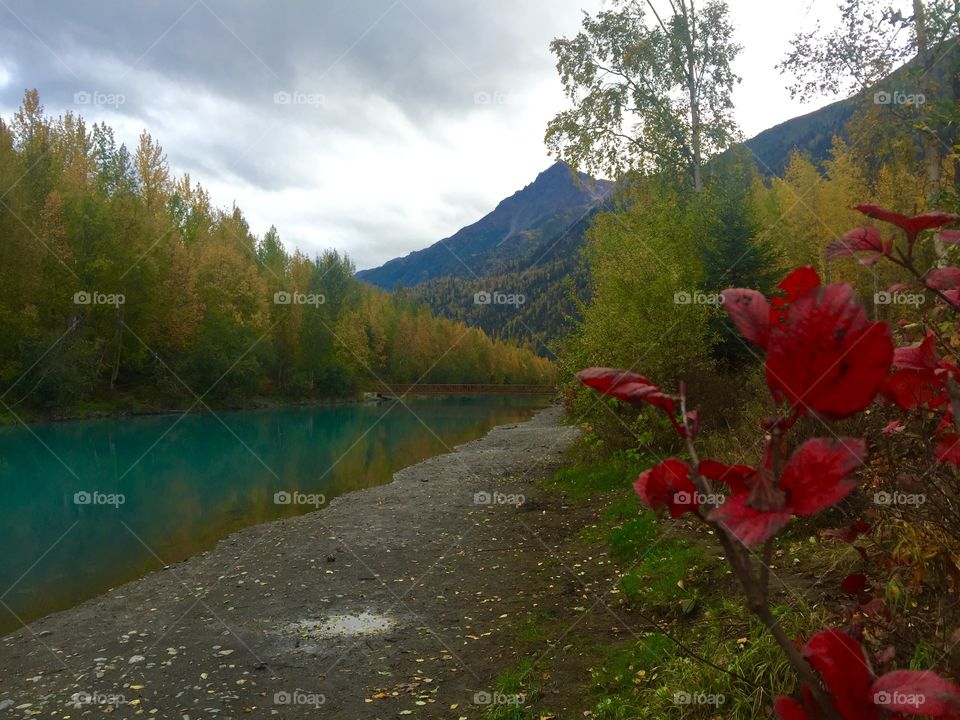 Fall in Alaska