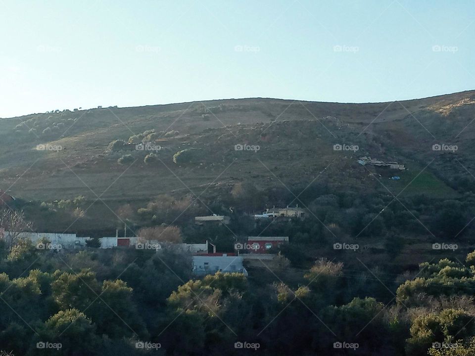 Population between the nature