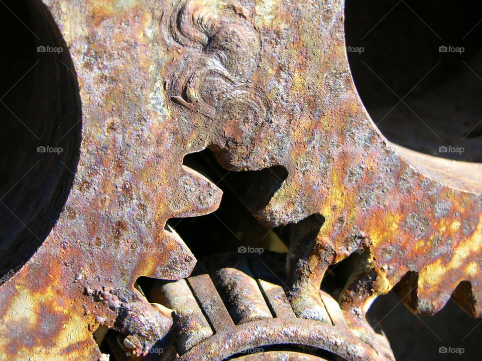 macro photography metal gears by probie15