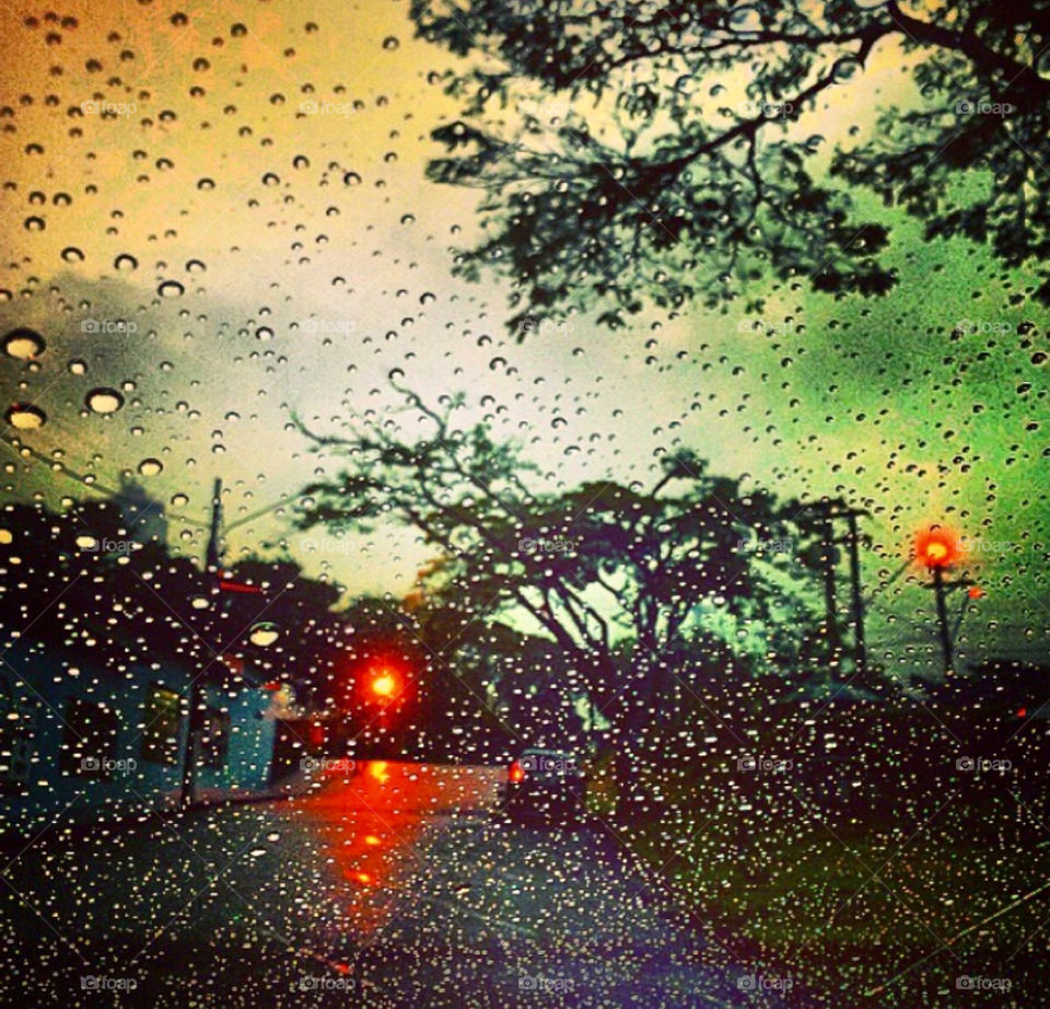 Dias de chuva podem ser bonitos também.
Para uma nova semana, novas motivações. E que a segunda-feira possa ser muito boa!
📸
#FOTOGRAFIAéNOSSOhobby
#natureza #fotografia #rain #paisagem #landscapes 