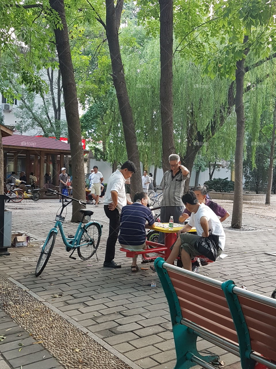 Chinese evening in park