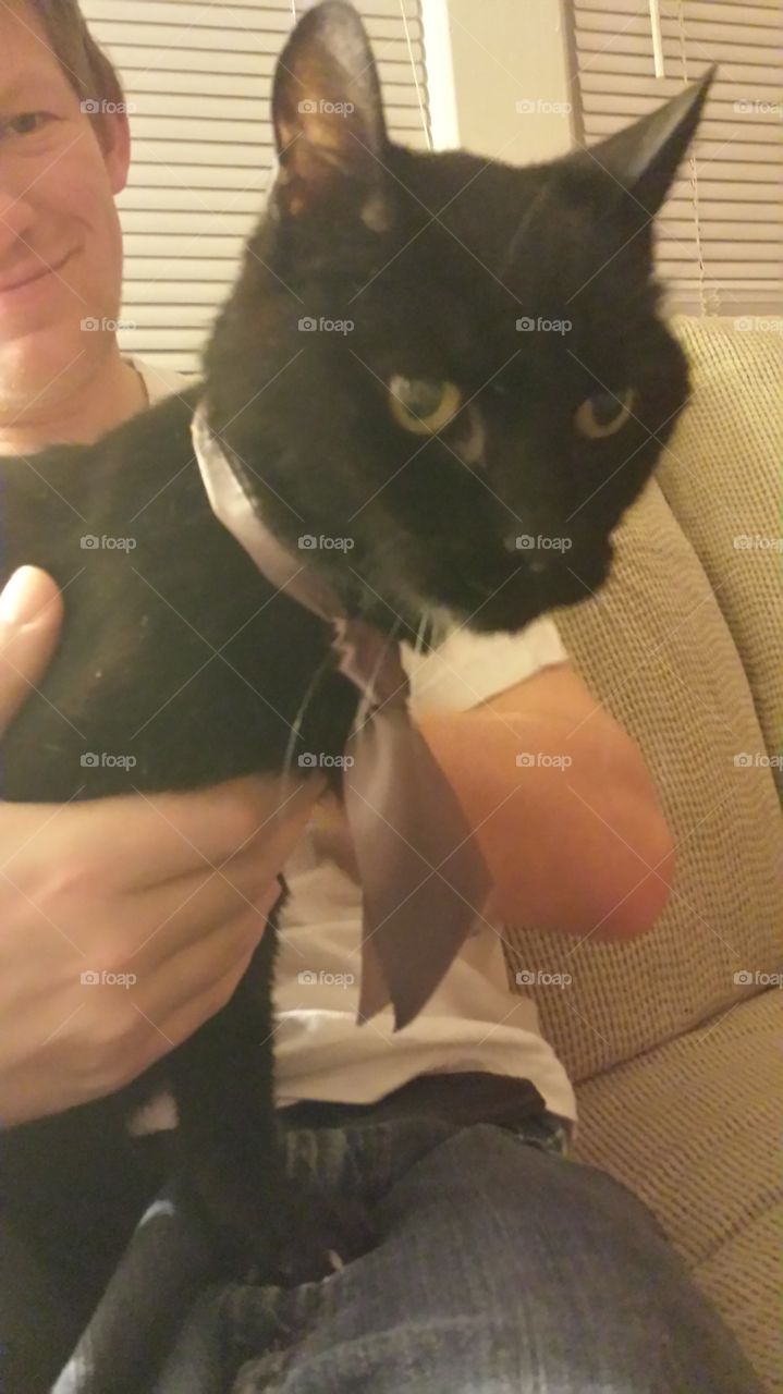 black tie kitty