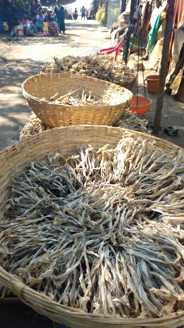 Local India- dry fish in village