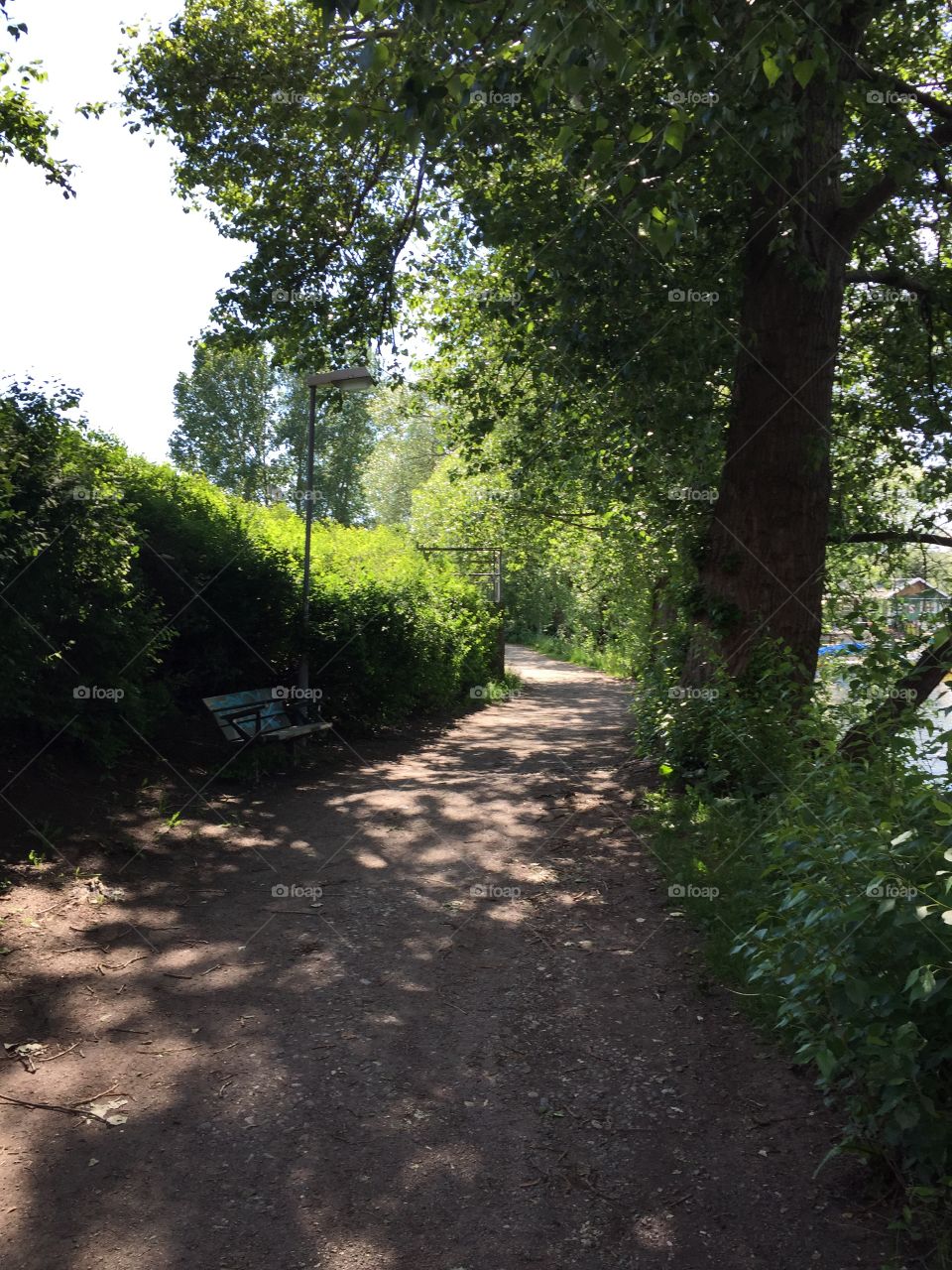 Path on Lilla Essingen in Stockholm
