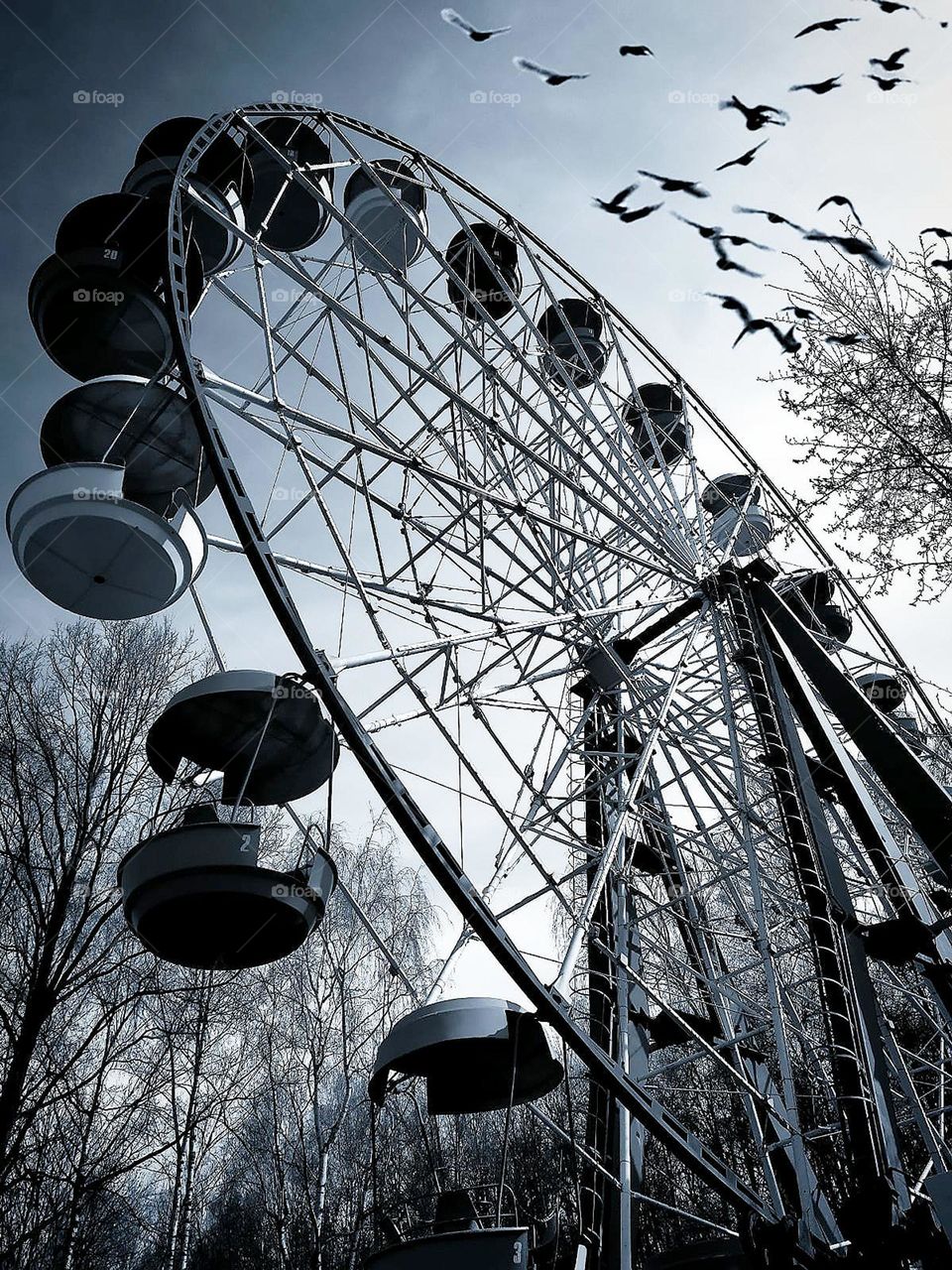 Black and white photo.  Contrast.  Attraction "Ferris wheel" and a flock of birds