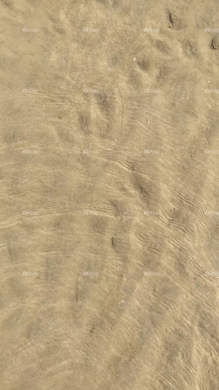 the sea