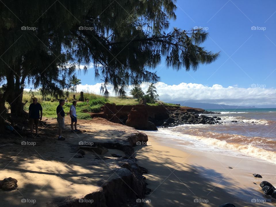A group to people stand under a green tree next to a beautiful beach in Hawaii