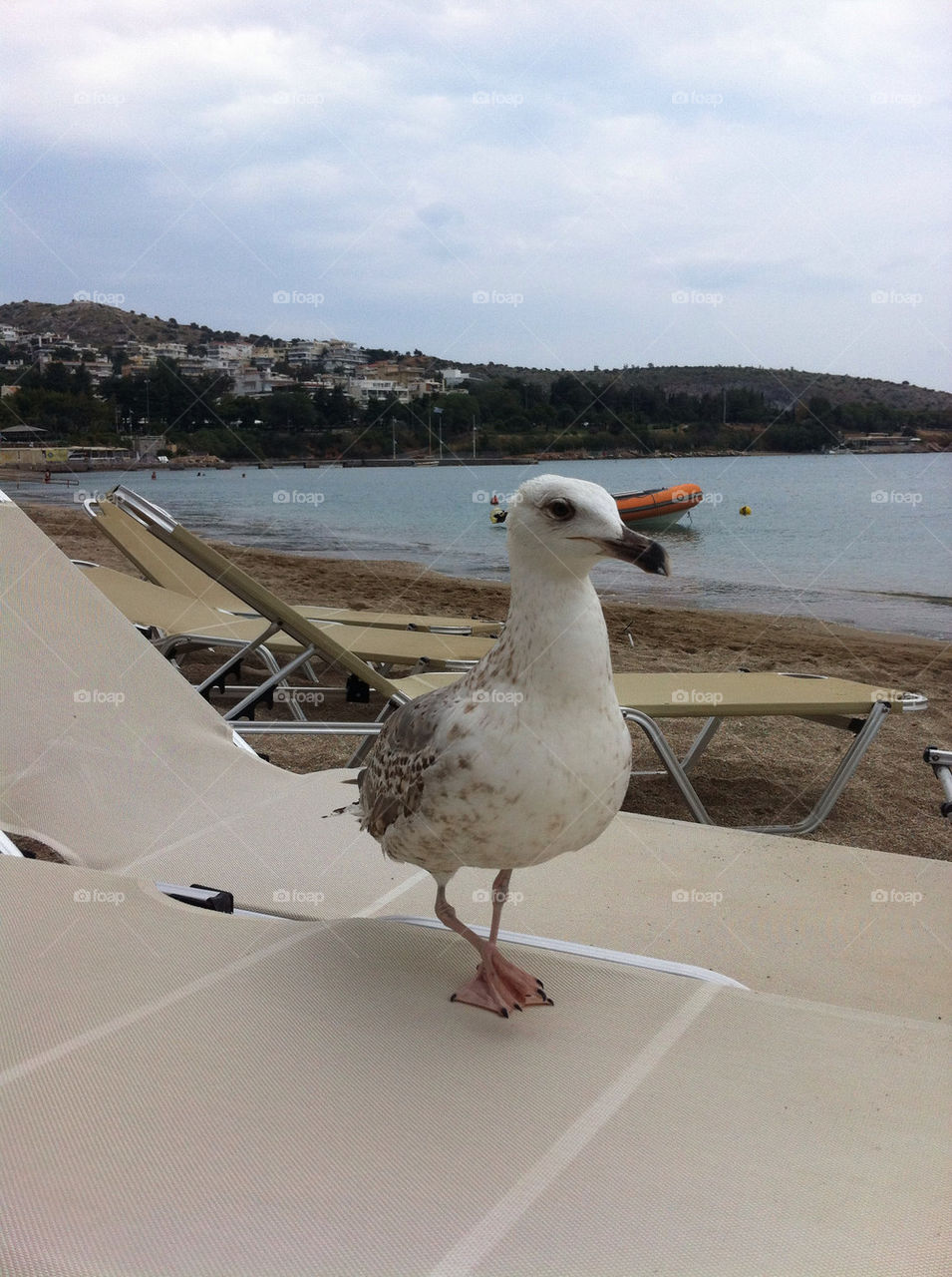 sea beautiful greece cross-legged by mourmour